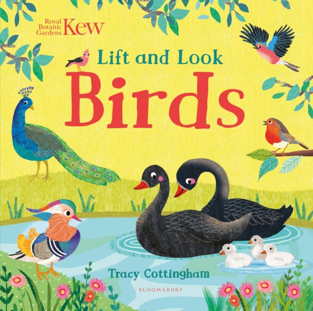 Book cover of: Kew: Lift and Look Birds. By: Tracy Cottingham