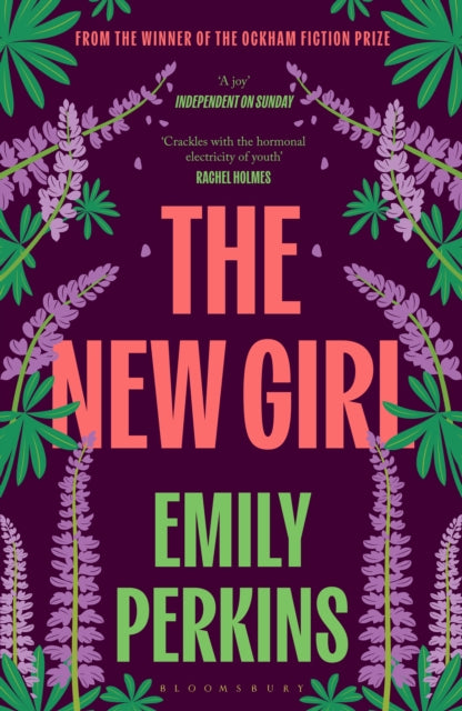 Book cover of: New Girl. By: Emily Perkins