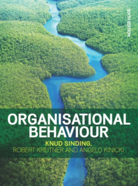Organisatsioonikäitumine, 6e