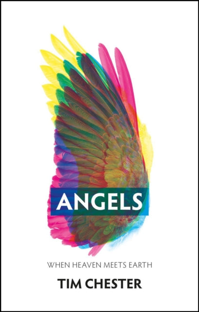 Book cover of: Angels. By: Tim Chester