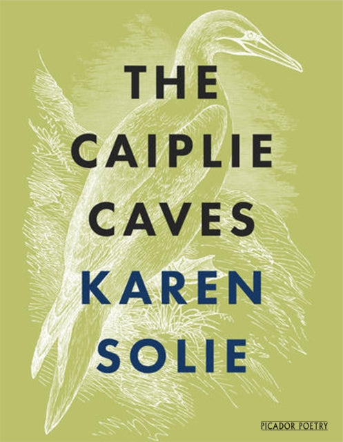 Caiplie koopad