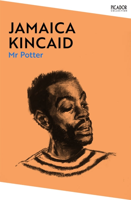 Book cover of: Mr Potter. By: Jamaica Kincaid