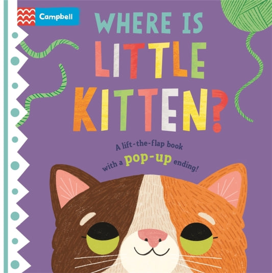 Book cover of: Where is Little Kitten?. By: Campbell Books