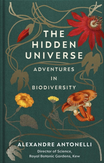Book cover of: Hidden Universe. By: Alexandre Antonelli
