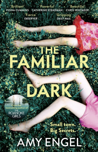 Book cover of: Familiar Dark. By: Amy Engel