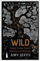 Wild, Tales from Early Medieval Britain from the Bestselling author of Storyland 9781529424263 Amy Jeffs