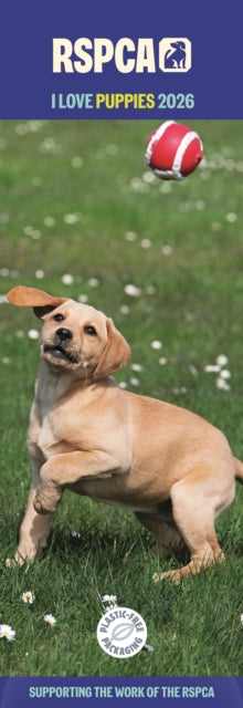 Book cover of: Rspca I Love Puppies Slim Calendar 2026