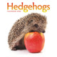 Book cover of: Hedgehogs Square Wall Calendar 2026