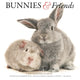 Book cover of: Bunnies Friends Square Wall Sunday Start
