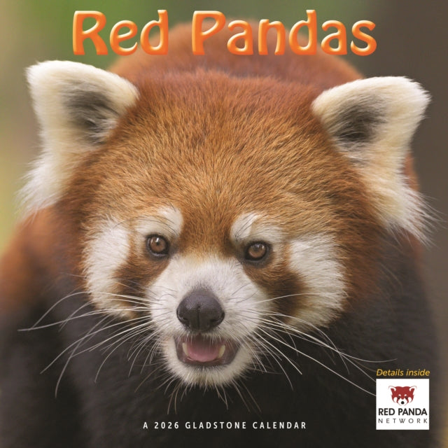 Book cover of: Red Pandas Square Wall Sunday Start Cale