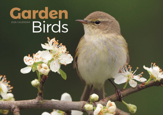 Book cover of: Garden Birds A4 Calendar 2026