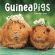 Book cover of: Guinea Pigs Square Mini Calendar 2026