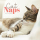 Book cover of: Cat Naps Square Mini Calendar 2026