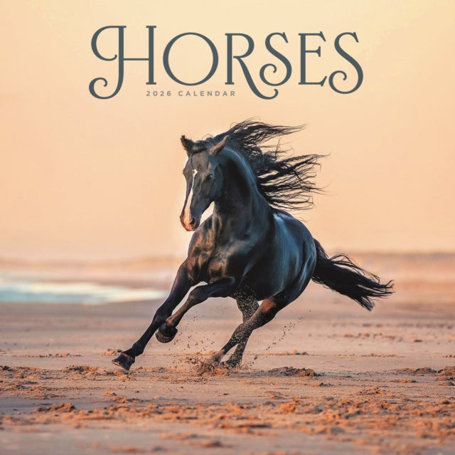 Book cover of: Horses Wiro Wall Calendar 2026