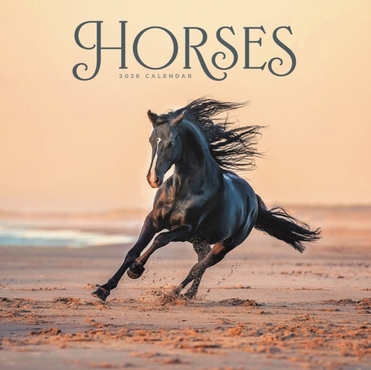 Book cover of: Horses Wiro Wall Calendar 2026