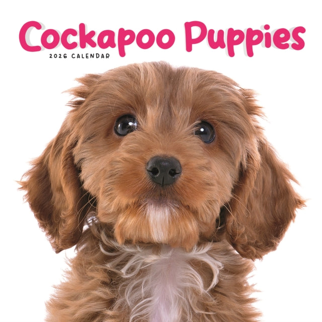 Book cover of: Cockapoo Puppies Square Mini Calendar 20