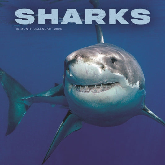Book cover of: Sharks Square Wall Sunday Start Calendar