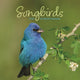 Book cover of: Songbirds Square Mini Sunday Start Calen