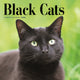 Book cover of: Black Cats Square Wall Sunday Start Cale