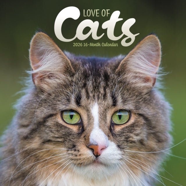 Book cover of: Love Of Cats Square Wall Sunday Start Ca