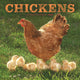 Book cover of: Chickens Square Wall Sunday Start Calend