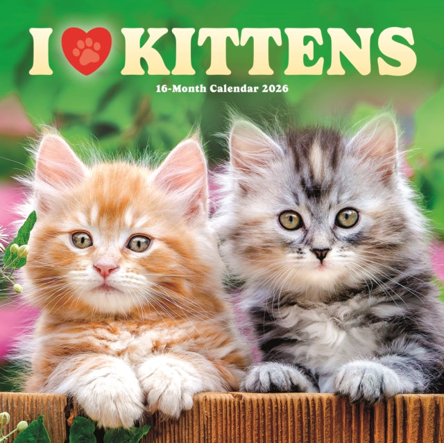 Book cover of: I Love Kittens Square Wall Sunday Start