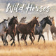 Book cover of: Wild Horses Square Wall Sunday Start Cal