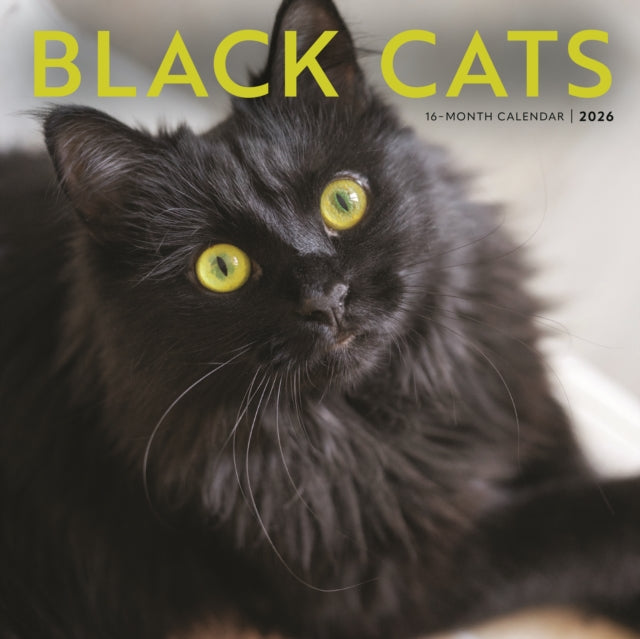 Book cover of: Black Cats Square Wall Sunday Start Cale