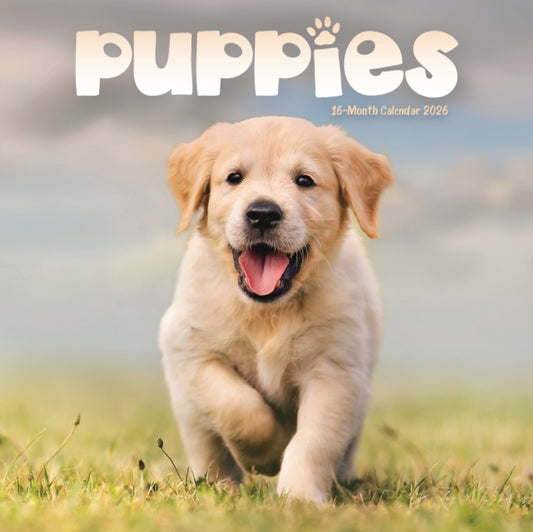 Book cover of: Puppies Square Mini Sunday Start Calenda