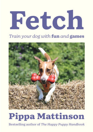 Fetch, Train your Dog with Fun and Games