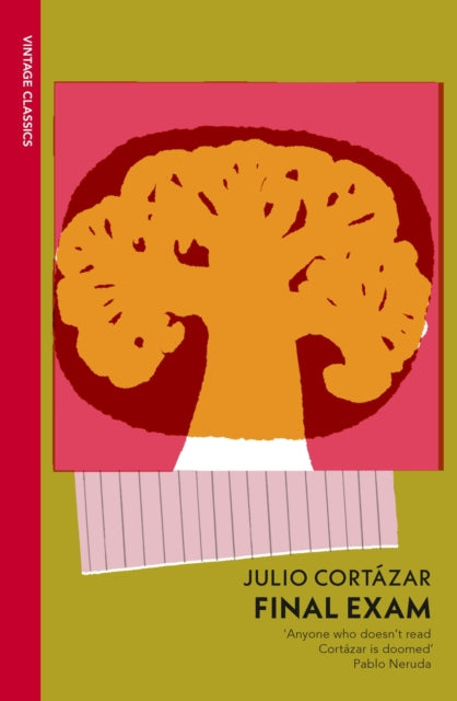 Final Exam 9781529956757 Julio Cortázar