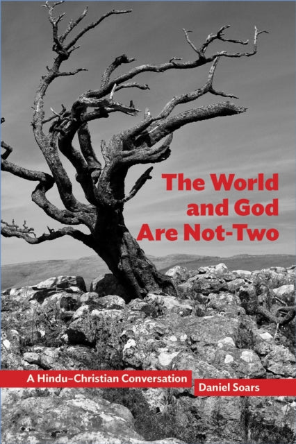 Book cover of: World and God Are not-Two. By: Daniel Soars