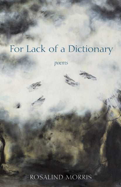 Book cover of: For Lack of a Dictionary. By: Rosalind Morris