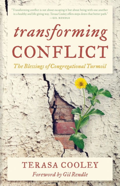 Book cover of: Transforming Conflict. By: Terasa Cooley