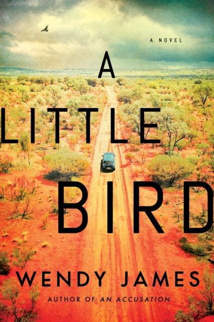 Book cover of: Little Bird. By: Wendy James