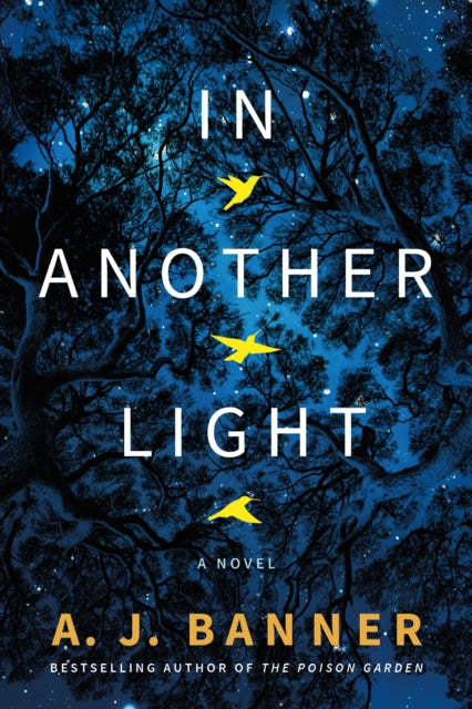 Book cover of: In Another Light. By: A. J. Banner
