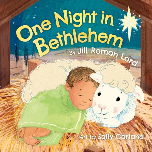 Book cover of: One Night In Bethlehem