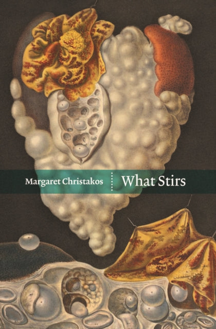 Book cover of: What Stirs. By: Margaret Christakos