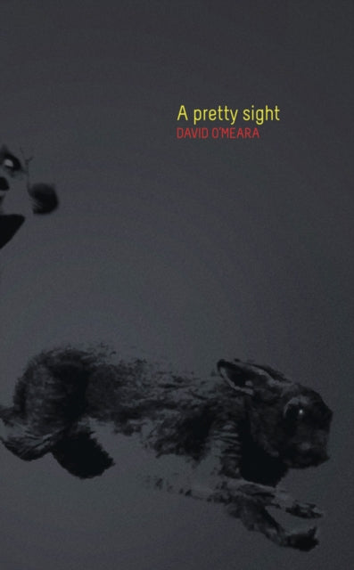 Book cover of: Pretty Sight. By: David O'Meara