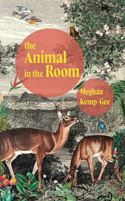 Book cover of: Animal in the Room. By: Meghan Kemp-Gee