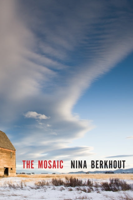 Book cover of: Mosaic. By: Nina Berkhout