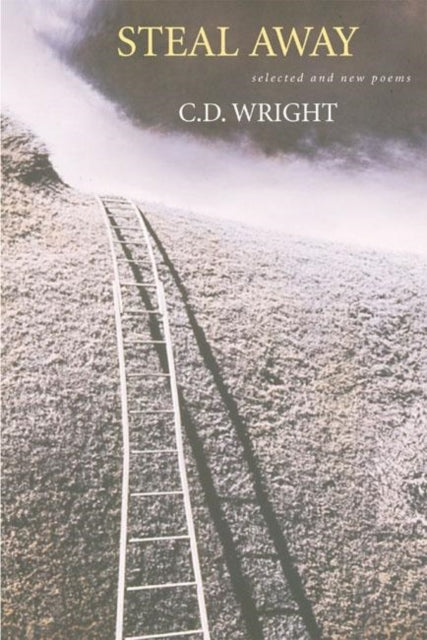 Book cover of: Steal Away