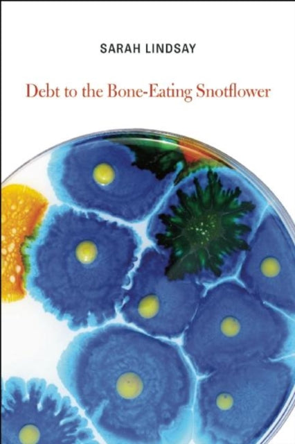 Book cover of: Debt to the Bone-Eating Snotflower. By: Sarah Lindsay