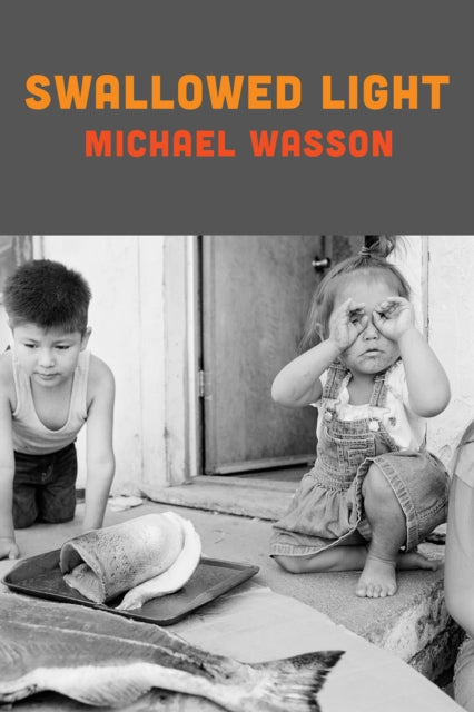 Book cover of: Swallowed Light. By: Michael Wasson