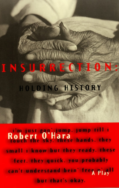 Book cover of: Insurrection: Holding History