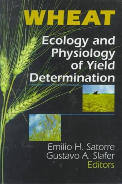 Book cover of: Wheat
