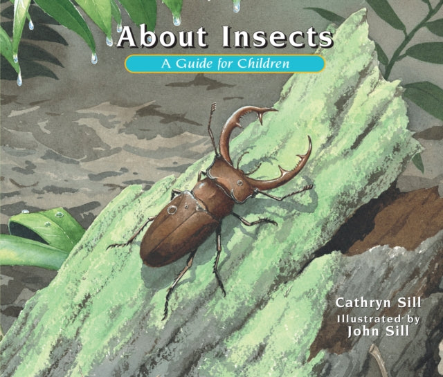 Book cover of: About Insects. By: Cathryn P. Sill