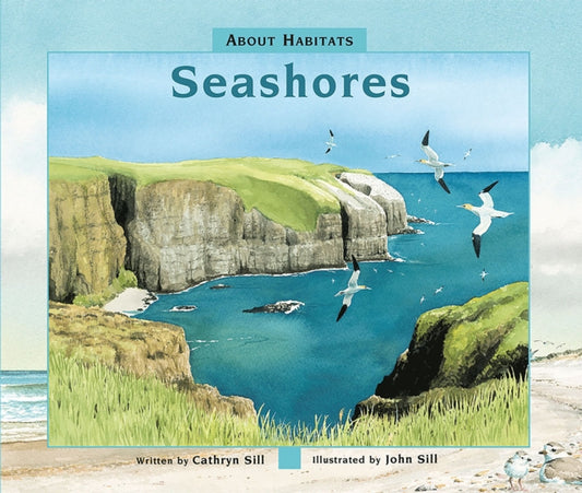 Book cover of: Seashores. By: Cathryn P. Sill