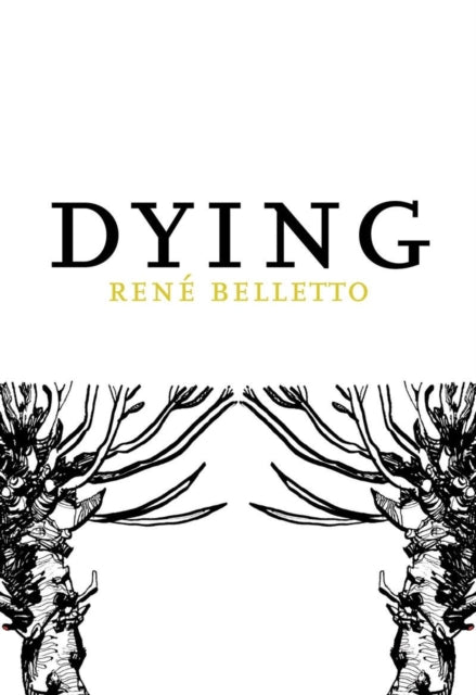Book cover of: Dying. By: René Belletto