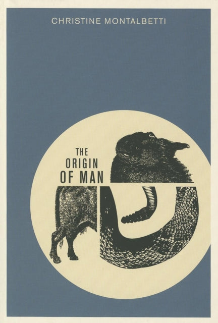 Book cover of: Origin of Man. By: Christine Montalbetti